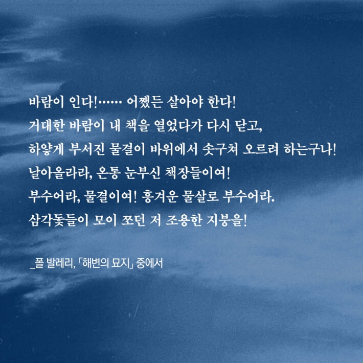 카드뉴스2
