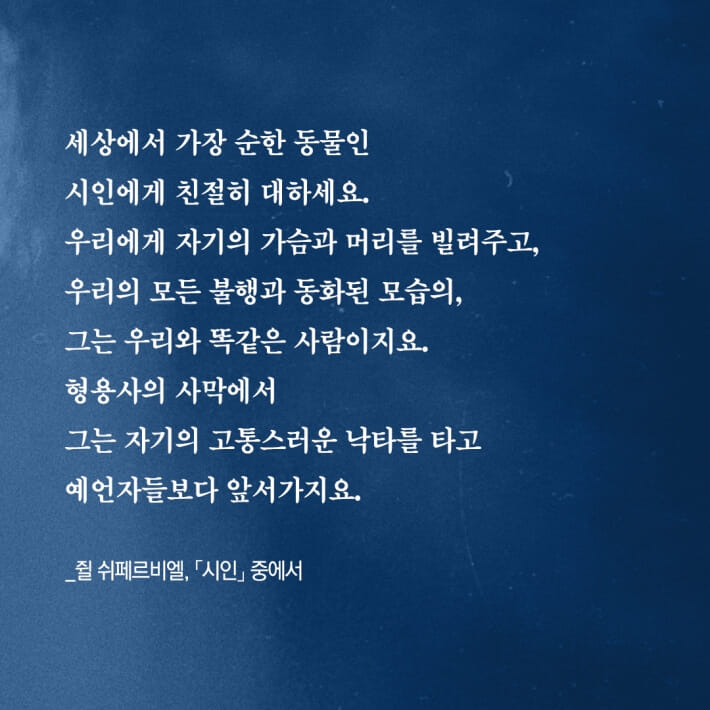 카드뉴스4