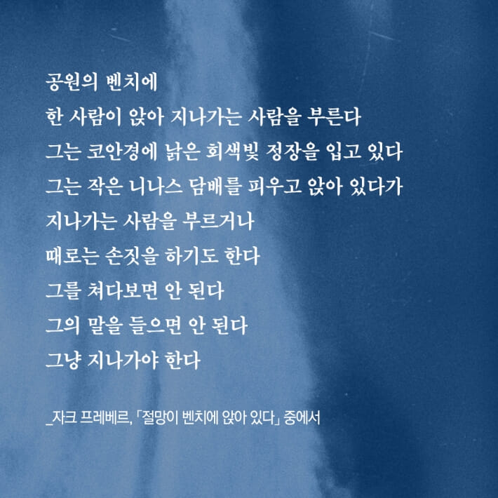카드뉴스6