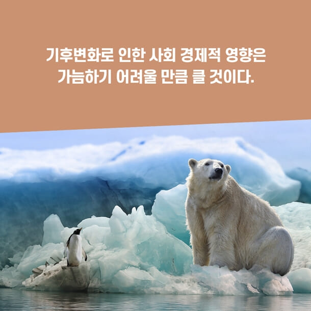 카드뉴스10