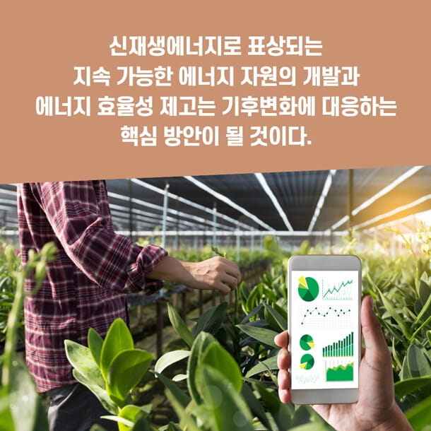 카드뉴스11