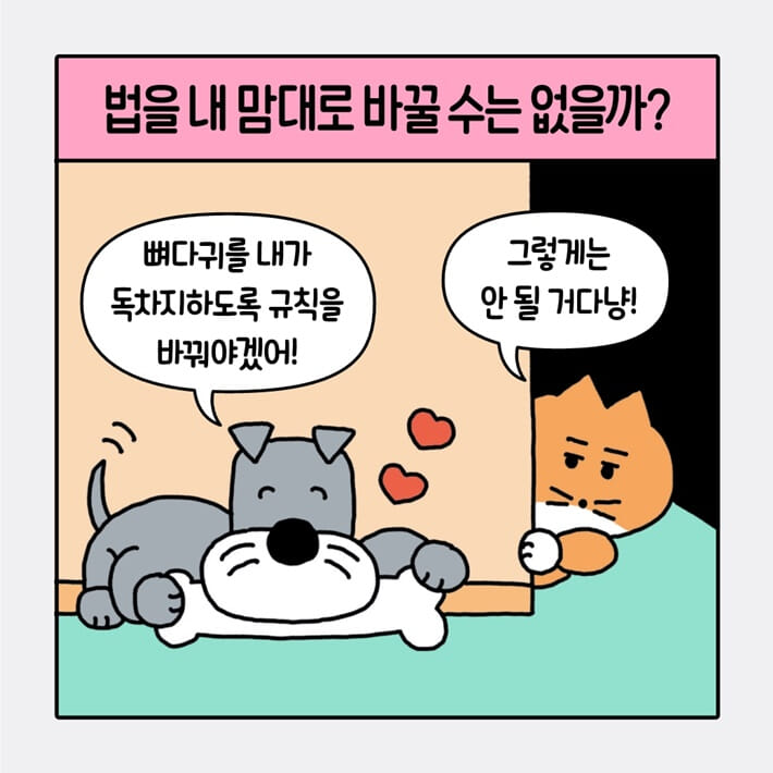 카드뉴스3