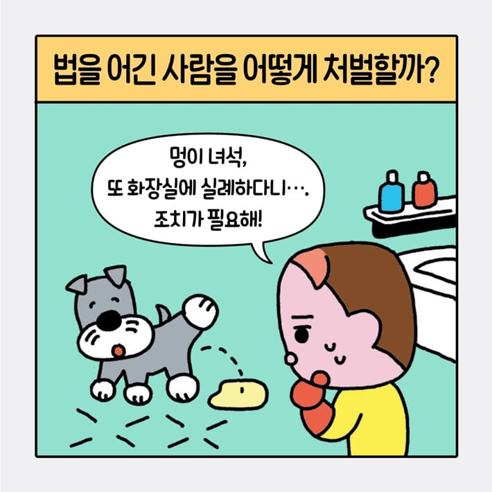 카드뉴스5