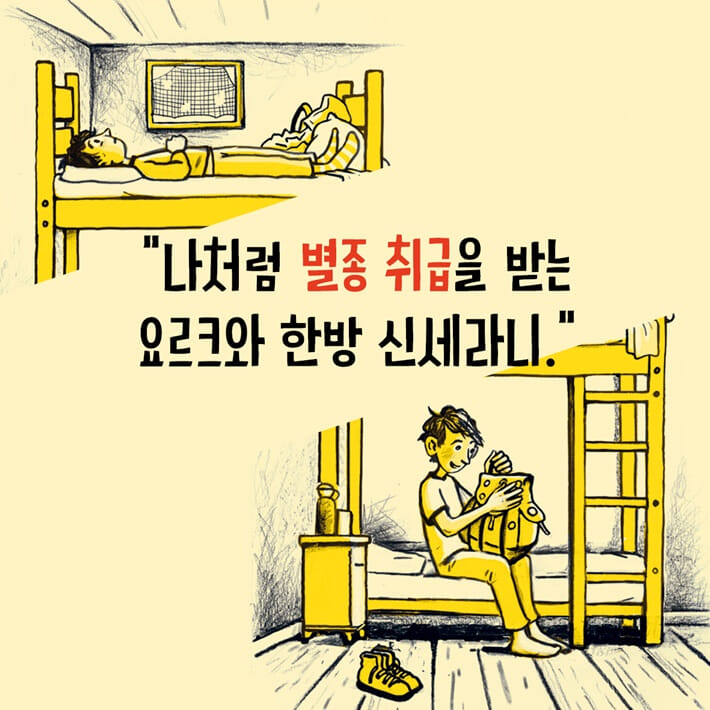 카드뉴스1