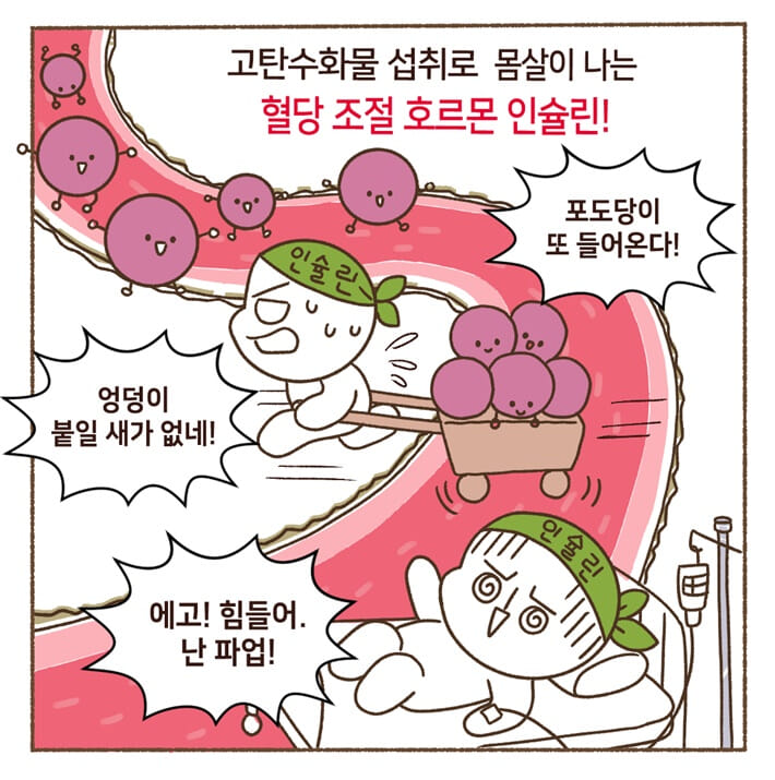 카드뉴스2