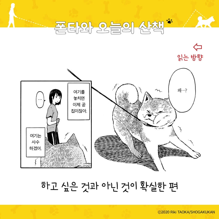 카드뉴스2