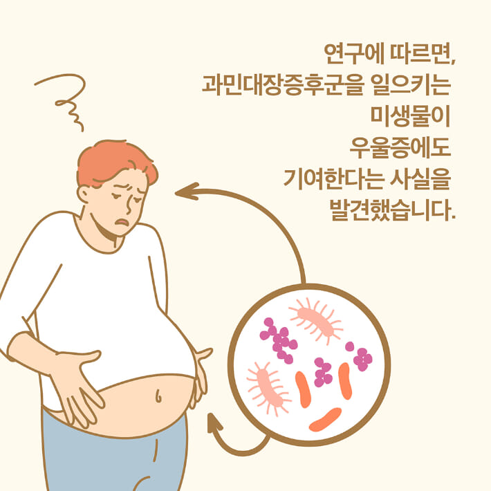 카드뉴스3