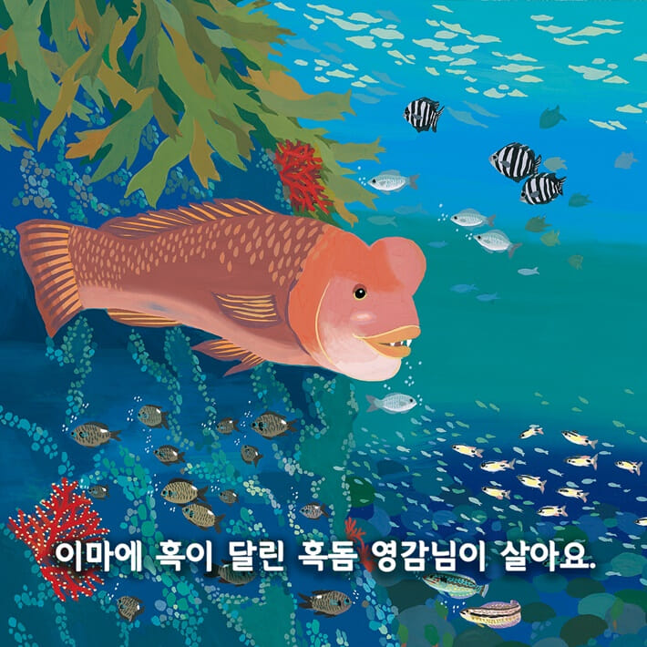 카드뉴스1