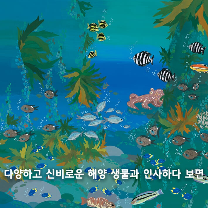 카드뉴스6