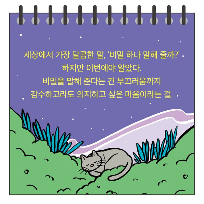 카드뉴스6