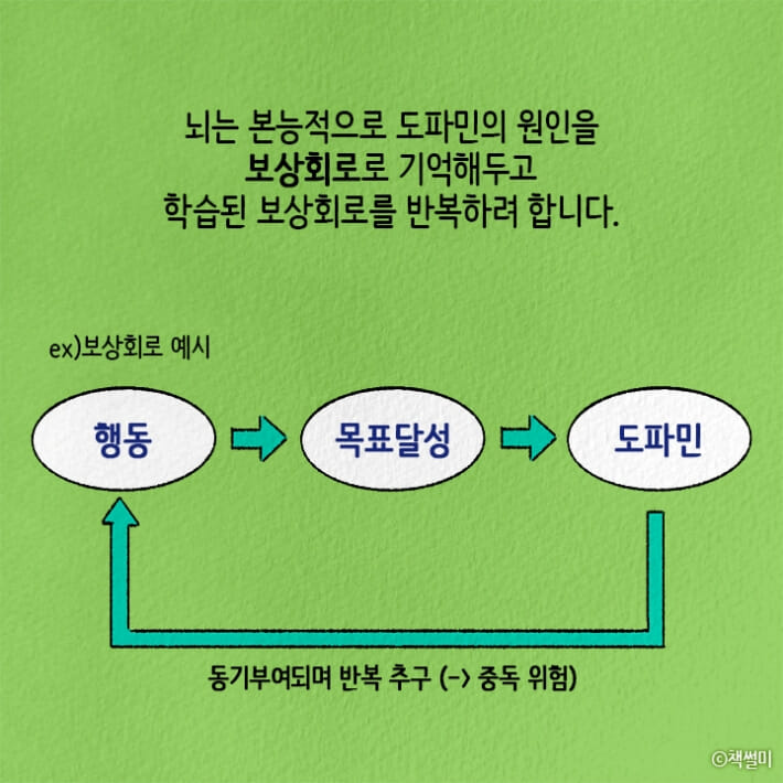 카드뉴스3