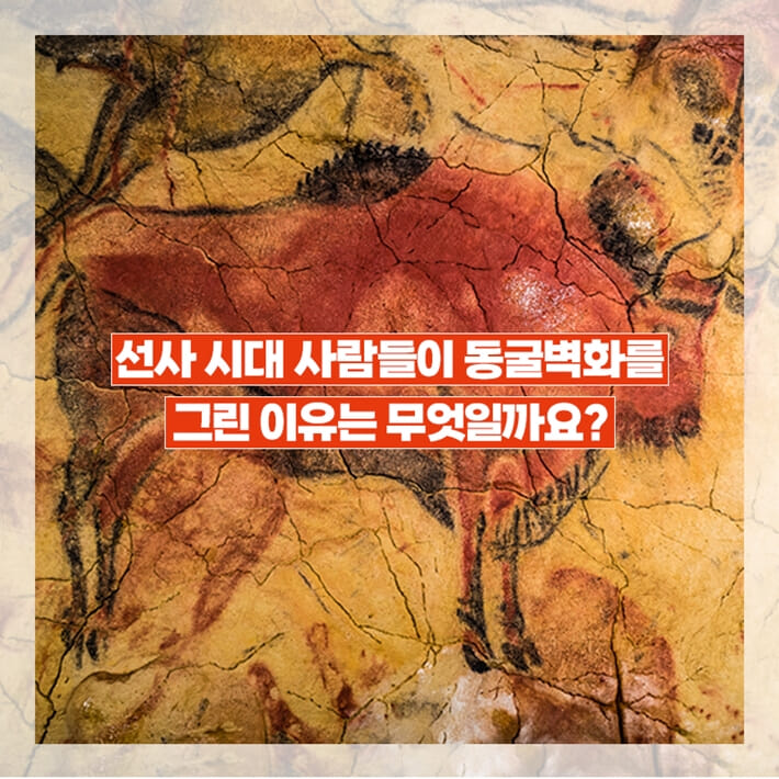 카드뉴스2