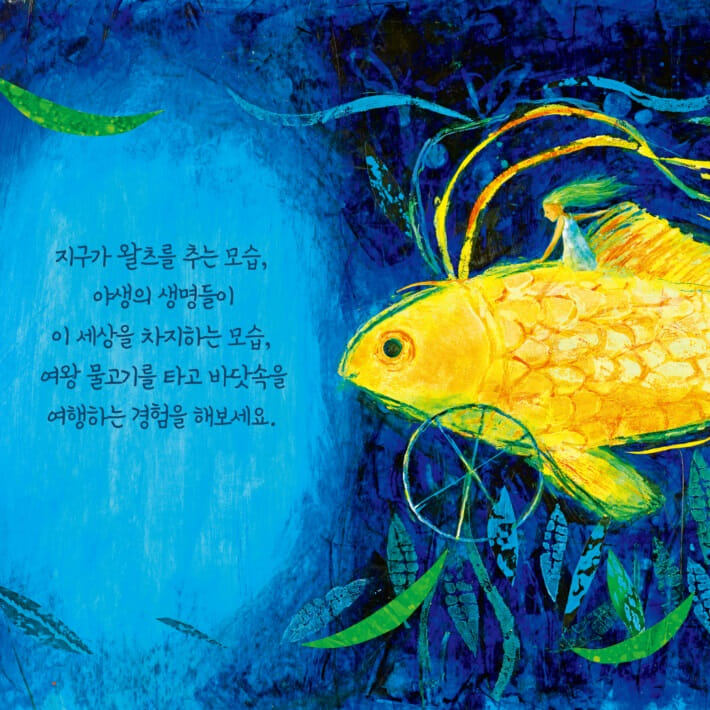 카드뉴스5