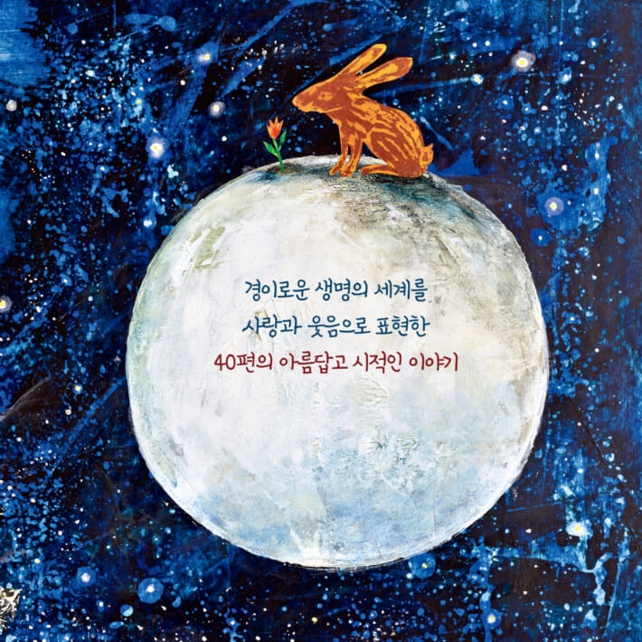 카드뉴스7