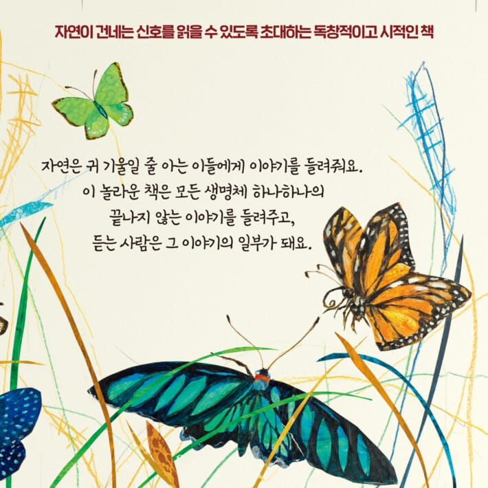 카드뉴스9