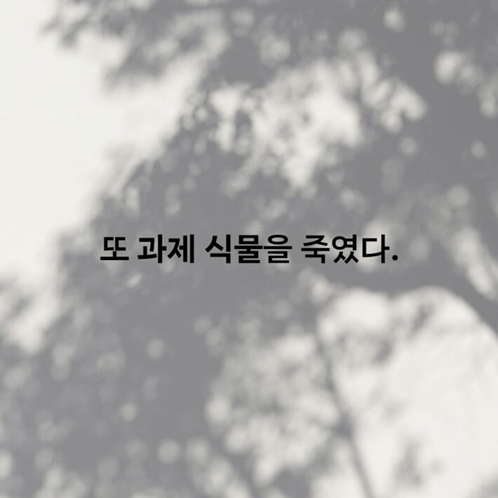 카드뉴스0