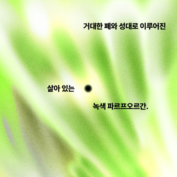 카드뉴스3