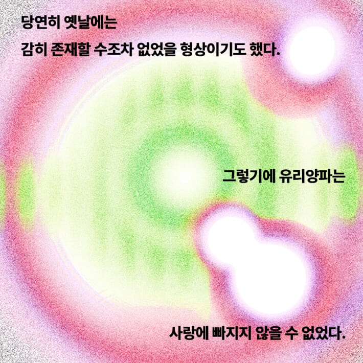 카드뉴스5