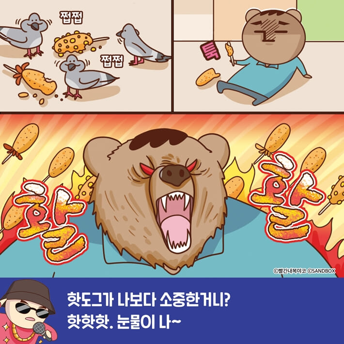 카드뉴스3