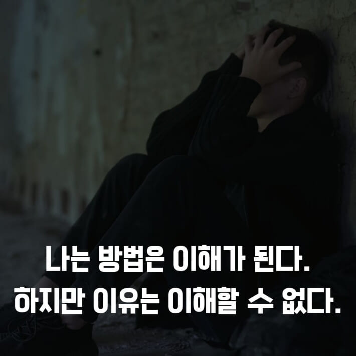카드뉴스4