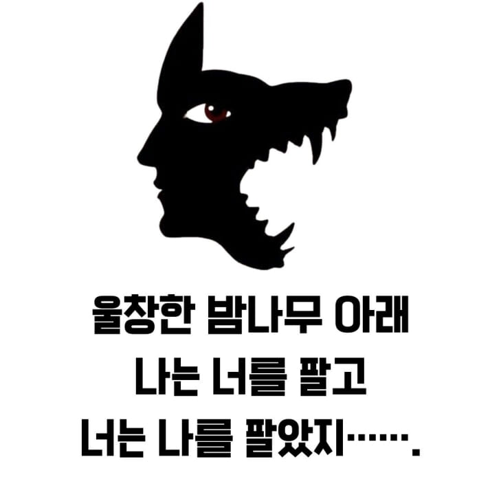 카드뉴스8