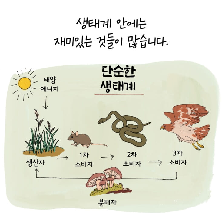 카드뉴스0
