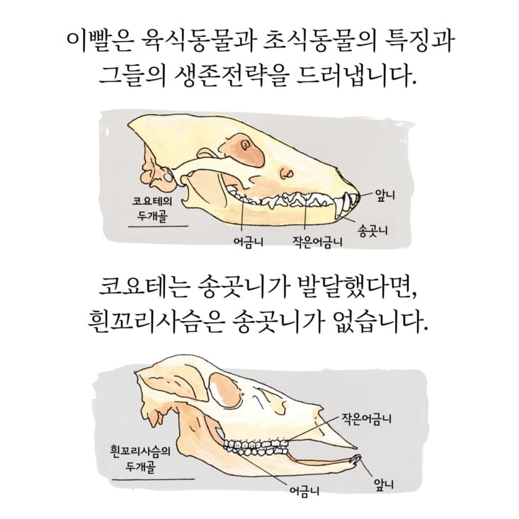 카드뉴스1