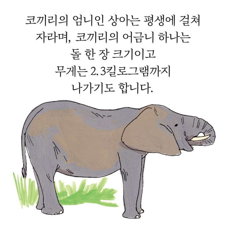 카드뉴스2