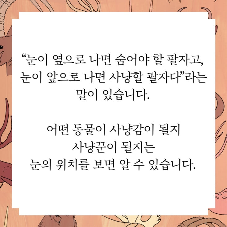 카드뉴스3