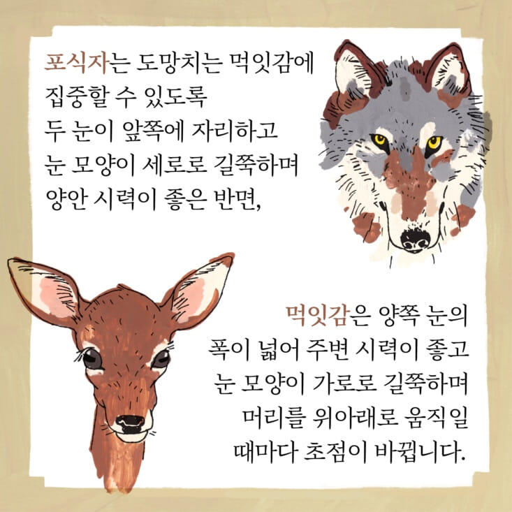 카드뉴스4