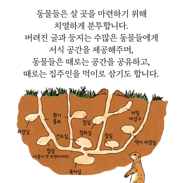 카드뉴스5