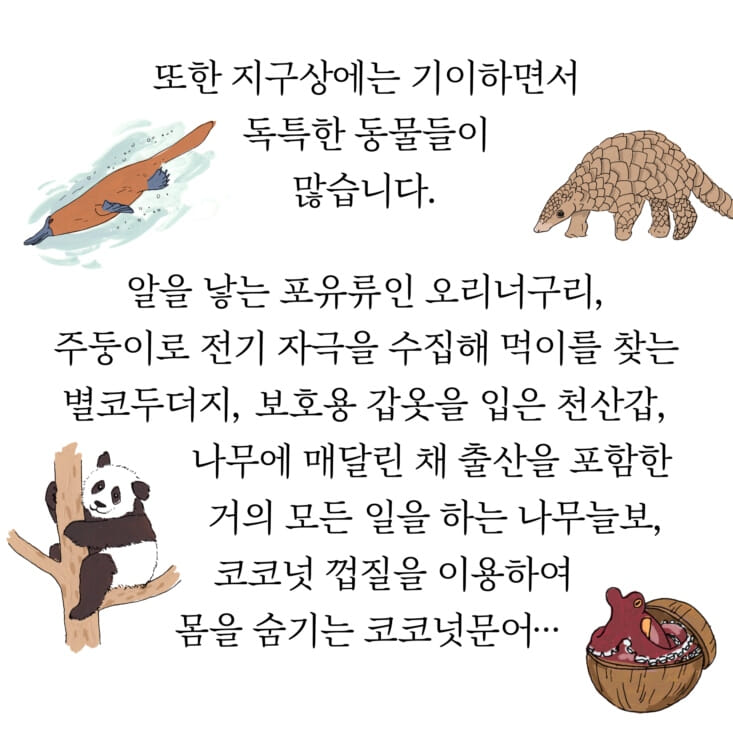 카드뉴스6