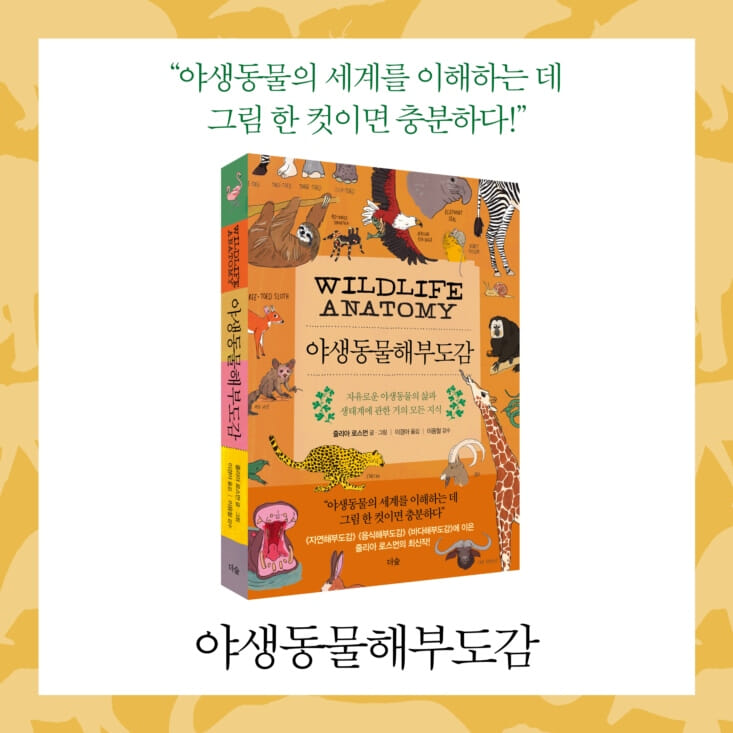 카드뉴스8