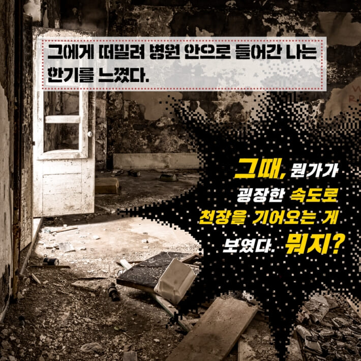 카드뉴스7