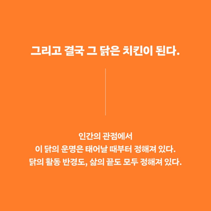 카드뉴스2