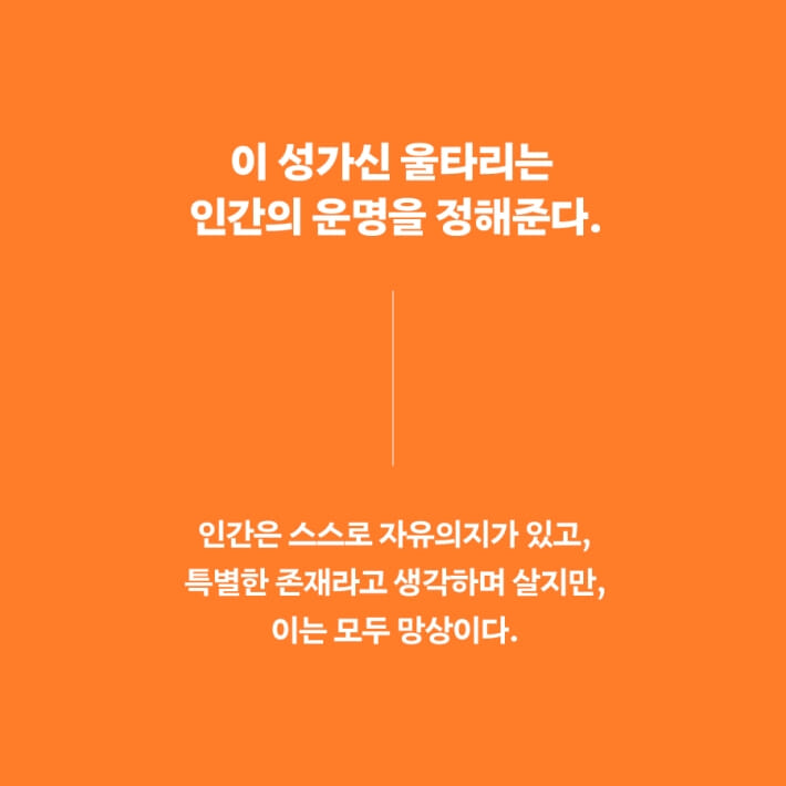 카드뉴스4