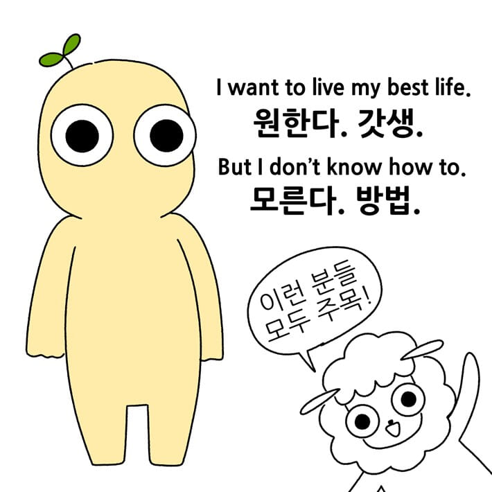 카드뉴스2