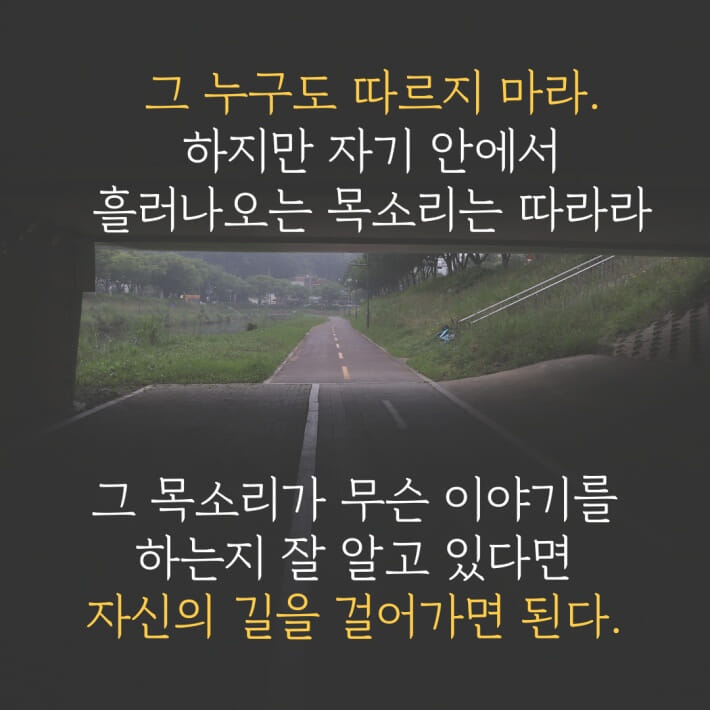 카드뉴스8