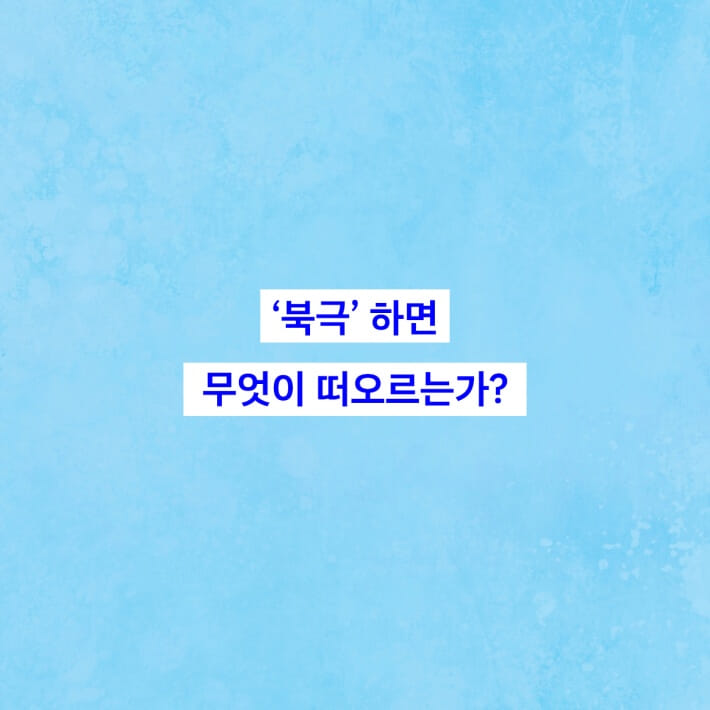 카드뉴스1