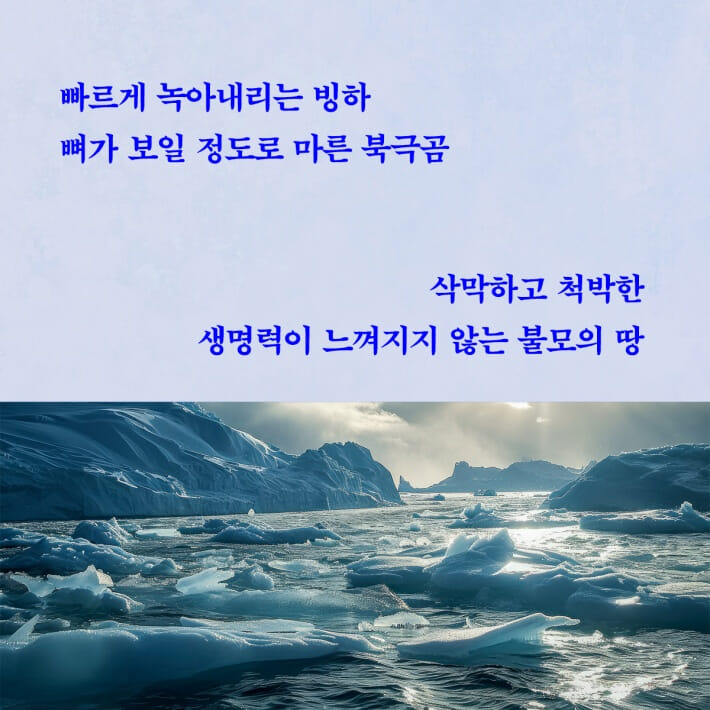 카드뉴스2