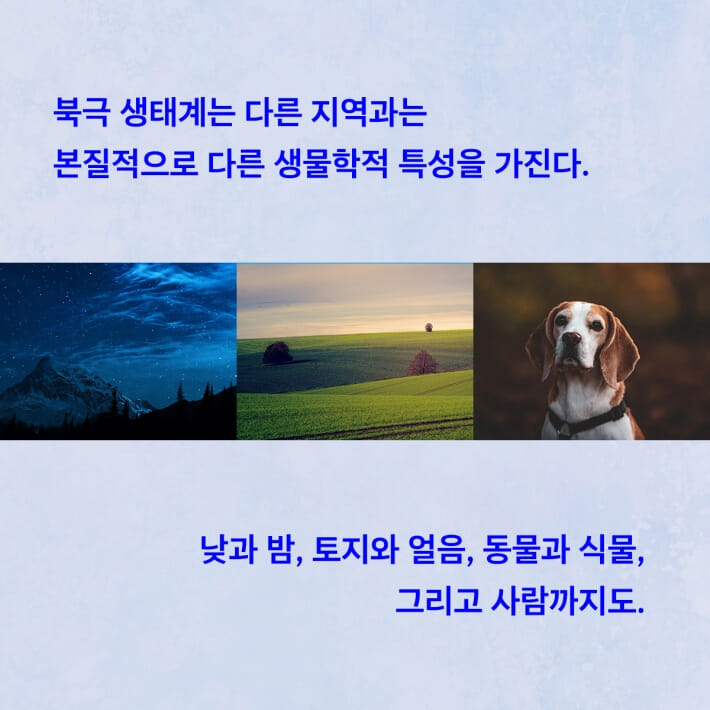 카드뉴스5