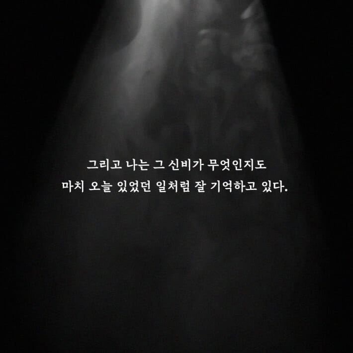 카드뉴스2
