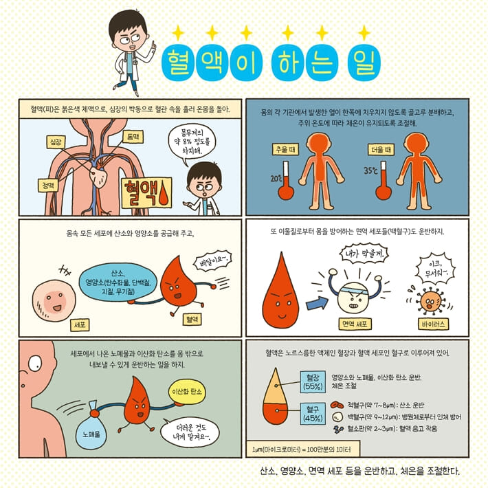 카드뉴스2