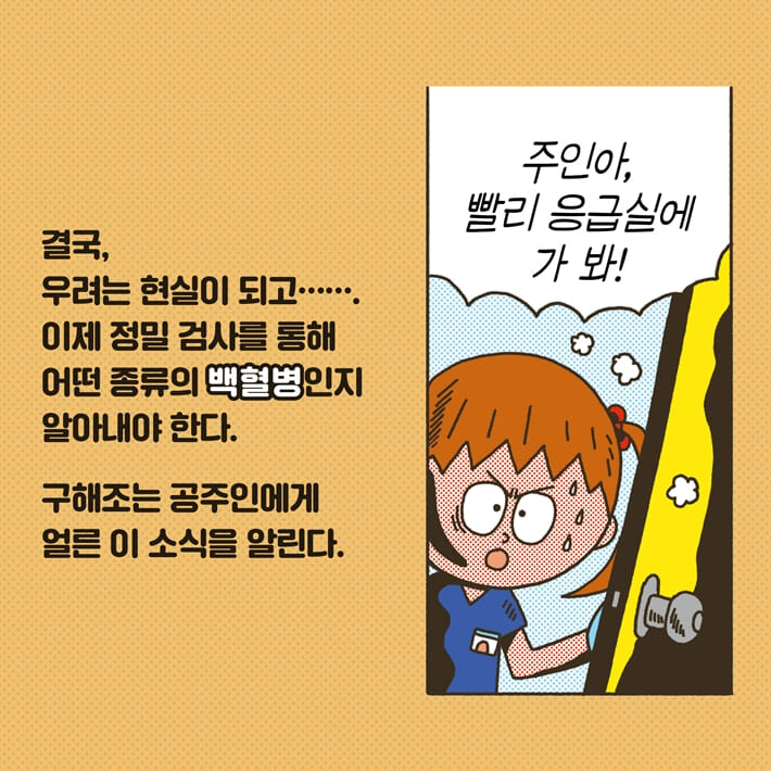 카드뉴스3