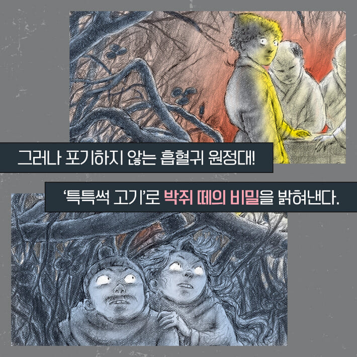 카드뉴스3