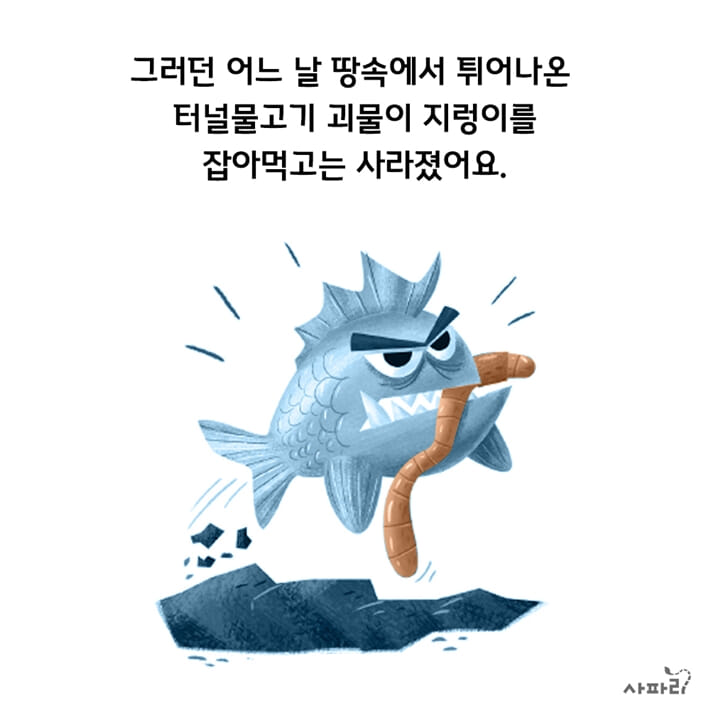 카드뉴스5