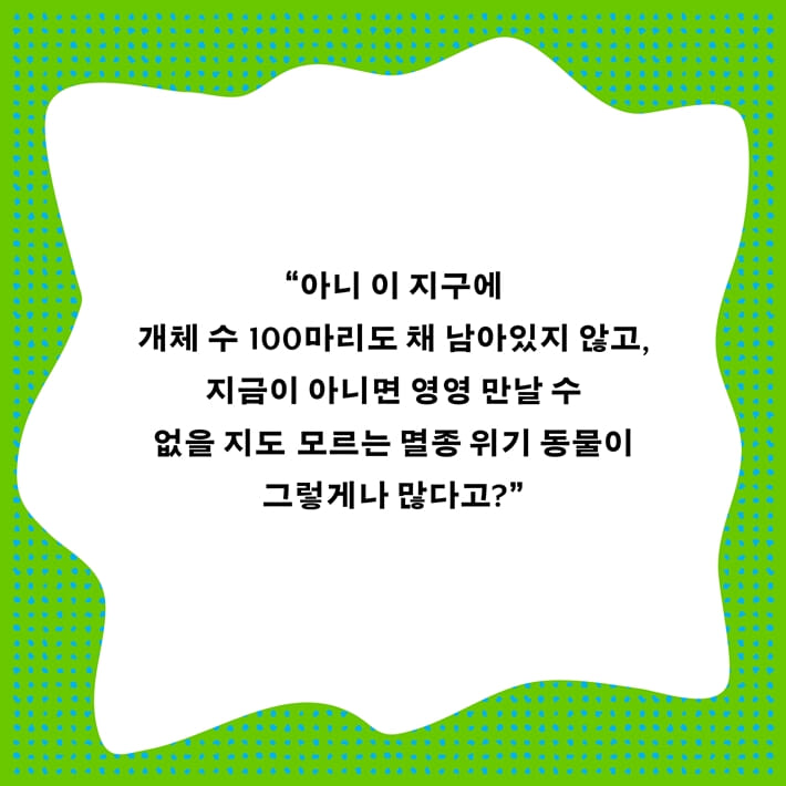 카드뉴스1