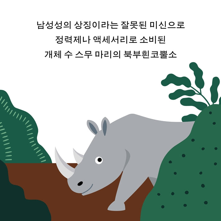 카드뉴스2