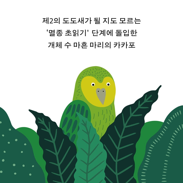 카드뉴스3