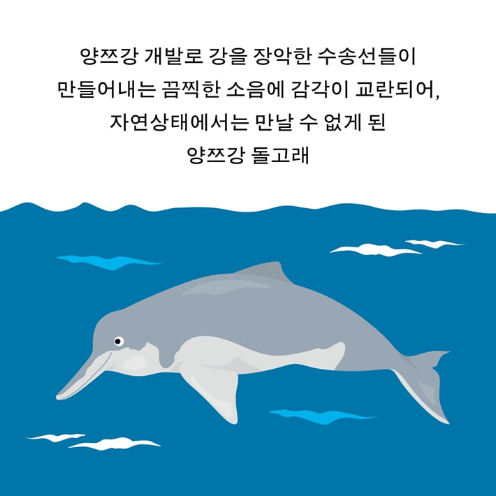 카드뉴스4